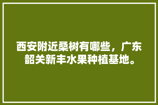 西安附近桑树有哪些，广东韶关新丰水果种植基地。 西安附近桑树有哪些，广东韶关新丰水果种植基地。 畜牧养殖