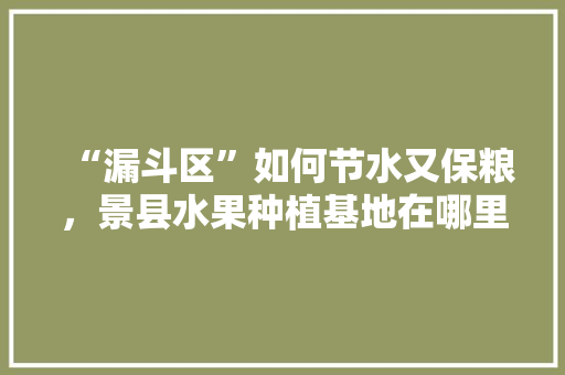 “漏斗区”如何节水又保粮，景县水果种植基地在哪里。 “漏斗区”如何节水又保粮，景县水果种植基地在哪里。 家禽养殖