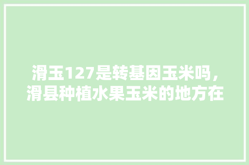 滑玉127是转基因玉米吗，滑县种植水果玉米的地方在哪。 滑玉127是转基因玉米吗，滑县种植水果玉米的地方在哪。 蔬菜种植