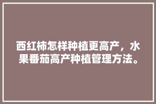 西红柿怎样种植更高产，水果番茄高产种植管理方法。 西红柿怎样种植更高产，水果番茄高产种植管理方法。 土壤施肥