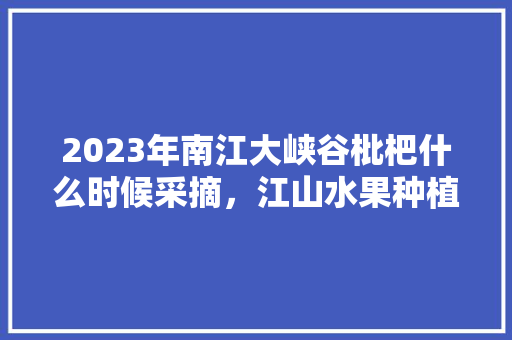 2023年南江大峡谷枇杷什么时候采摘，江山水果种植面积多少亩。 2023年南江大峡谷枇杷什么时候采摘，江山水果种植面积多少亩。 水果种植