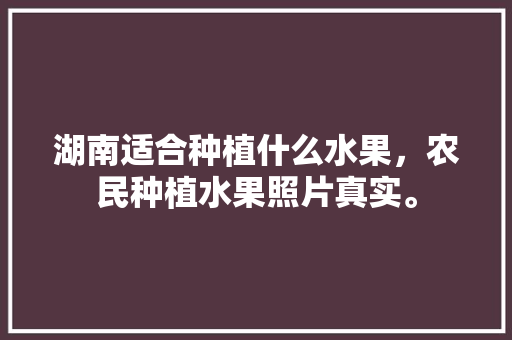 湖南适合种植什么水果，农民种植水果照片真实。 湖南适合种植什么水果，农民种植水果照片真实。 蔬菜种植