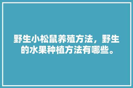 野生小松鼠养殖方法，野生的水果种植方法有哪些。 野生小松鼠养殖方法，野生的水果种植方法有哪些。 水果种植