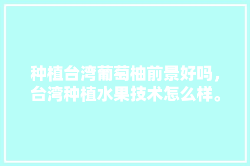 种植台湾葡萄柚前景好吗，台湾种植水果技术怎么样。 种植台湾葡萄柚前景好吗，台湾种植水果技术怎么样。 土壤施肥