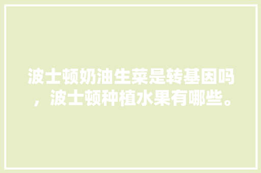 波士顿奶油生菜是转基因吗，波士顿种植水果有哪些。 波士顿奶油生菜是转基因吗，波士顿种植水果有哪些。 水果种植