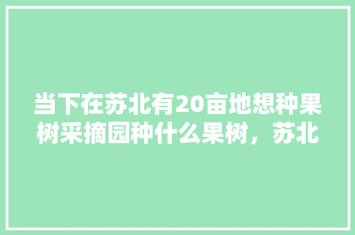 当下在苏北有20亩地想种果树采摘园种什么果树，苏北能种植什么水果树。 当下在苏北有20亩地想种果树采摘园种什么果树，苏北能种植什么水果树。 蔬菜种植