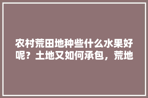 农村荒田地种些什么水果好呢？土地又如何承包，荒地种植什么水果好些呢。 农村荒田地种些什么水果好呢？土地又如何承包，荒地种植什么水果好些呢。 蔬菜种植