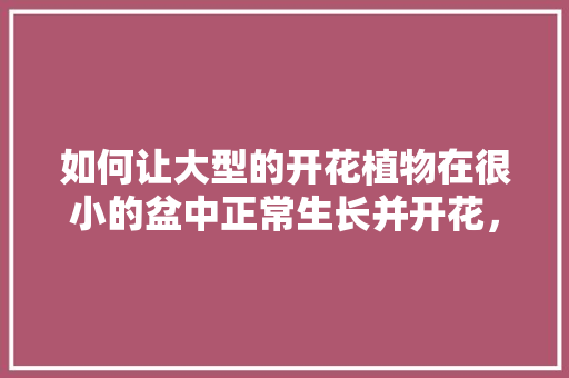 如何让大型的开花植物在很小的盆中正常生长并开花，小盆水果种植方法。 如何让大型的开花植物在很小的盆中正常生长并开花，小盆水果种植方法。 土壤施肥