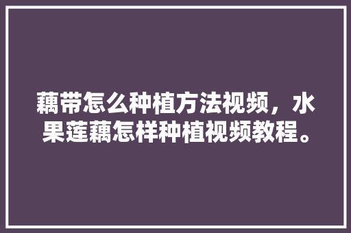 藕带怎么种植方法视频，水果莲藕怎样种植视频教程。 藕带怎么种植方法视频，水果莲藕怎样种植视频教程。 土壤施肥