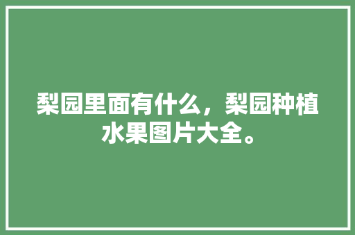 梨园里面有什么，梨园种植水果图片大全。 梨园里面有什么，梨园种植水果图片大全。 土壤施肥