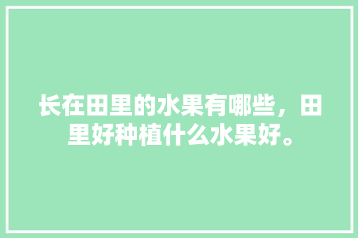 长在田里的水果有哪些，田里好种植什么水果好。 长在田里的水果有哪些，田里好种植什么水果好。 水果种植