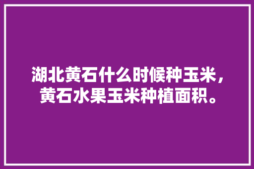 湖北黄石什么时候种玉米，黄石水果玉米种植面积。 湖北黄石什么时候种玉米，黄石水果玉米种植面积。 蔬菜种植