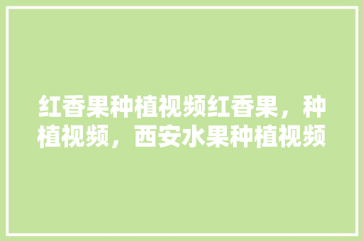 红香果种植视频红香果，种植视频，西安水果种植视频大全。 红香果种植视频红香果，种植视频，西安水果种植视频大全。 水果种植