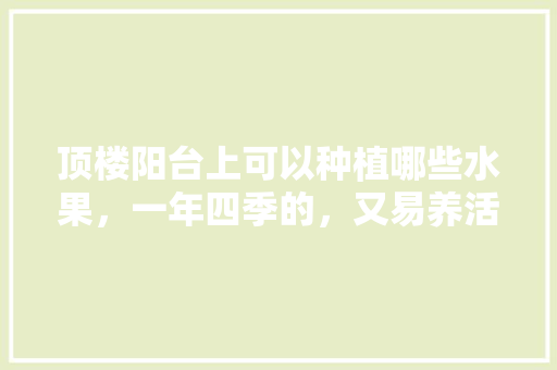 顶楼阳台上可以种植哪些水果，一年四季的，又易养活的，阳台种植水果打理方法。 顶楼阳台上可以种植哪些水果，一年四季的，又易养活的，阳台种植水果打理方法。 土壤施肥