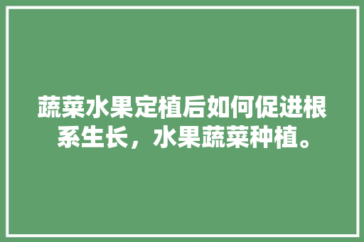 蔬菜水果定植后如何促进根系生长，水果蔬菜种植。 蔬菜水果定植后如何促进根系生长，水果蔬菜种植。 土壤施肥