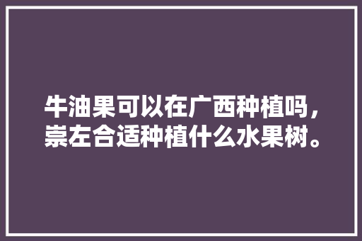 牛油果可以在广西种植吗，崇左合适种植什么水果树。 牛油果可以在广西种植吗，崇左合适种植什么水果树。 水果种植