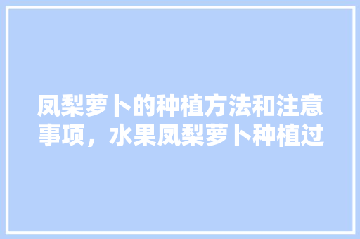 凤梨萝卜的种植方法和注意事项，水果凤梨萝卜种植过程视频。 凤梨萝卜的种植方法和注意事项，水果凤梨萝卜种植过程视频。 蔬菜种植