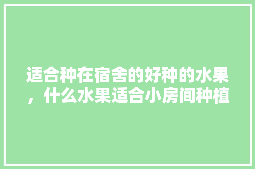 适合种在宿舍的好种的水果，什么水果适合小房间种植呢。 适合种在宿舍的好种的水果，什么水果适合小房间种植呢。 蔬菜种植