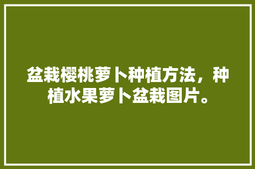 盆栽樱桃萝卜种植方法，种植水果萝卜盆栽图片。 盆栽樱桃萝卜种植方法，种植水果萝卜盆栽图片。 蔬菜种植