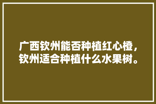 广西钦州能否种植红心橙，钦州适合种植什么水果树。 广西钦州能否种植红心橙，钦州适合种植什么水果树。 蔬菜种植