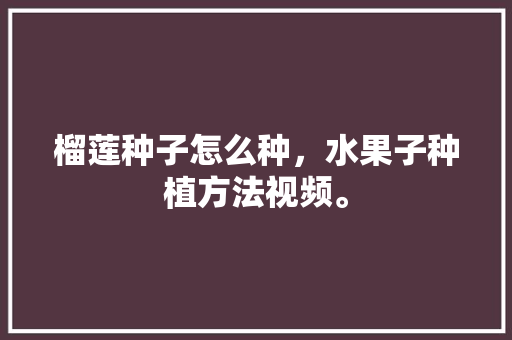 榴莲种子怎么种，水果子种植方法视频。 榴莲种子怎么种，水果子种植方法视频。 水果种植