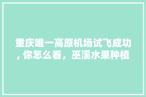 重庆唯一高原机场试飞成功, 你怎么看，巫溪水果种植基地。 重庆唯一高原机场试飞成功, 你怎么看，巫溪水果种植基地。 水果种植