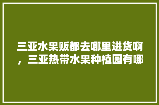 三亚水果贩都去哪里进货啊，三亚热带水果种植园有哪些。 三亚水果贩都去哪里进货啊，三亚热带水果种植园有哪些。 蔬菜种植