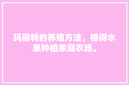 玛丽特的养殖方法，格得水果种植家庭农场。 玛丽特的养殖方法，格得水果种植家庭农场。 家禽养殖