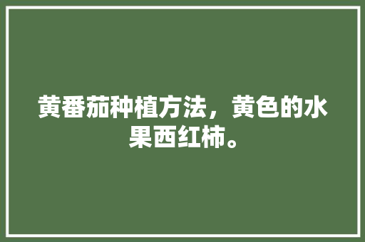 黄番茄种植方法，黄色的水果西红柿。 黄番茄种植方法，黄色的水果西红柿。 畜牧养殖