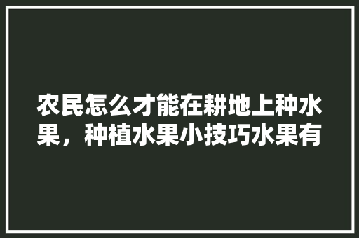 农民怎么才能在耕地上种水果，种植水果小技巧水果有哪些。 农民怎么才能在耕地上种水果，种植水果小技巧水果有哪些。 家禽养殖