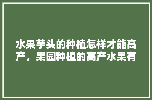 水果芋头的种植怎样才能高产，果园种植的高产水果有哪些。 水果芋头的种植怎样才能高产，果园种植的高产水果有哪些。 土壤施肥