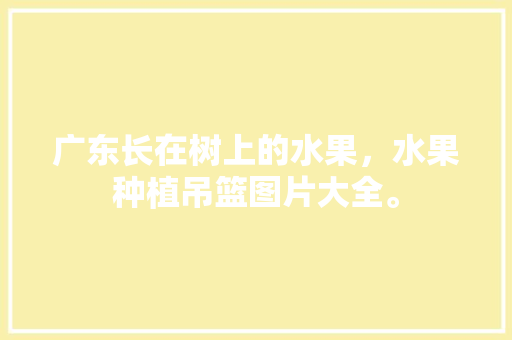 广东长在树上的水果，水果种植吊篮图片大全。 广东长在树上的水果，水果种植吊篮图片大全。 土壤施肥