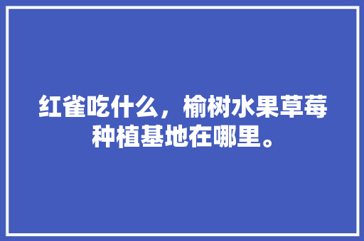 红雀吃什么，榆树水果草莓种植基地在哪里。 红雀吃什么，榆树水果草莓种植基地在哪里。 家禽养殖