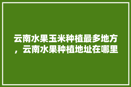 云南水果玉米种植最多地方，云南水果种植地址在哪里。 云南水果玉米种植最多地方，云南水果种植地址在哪里。 蔬菜种植