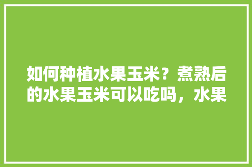 如何种植水果玉米？煮熟后的水果玉米可以吃吗，水果米怎样种植视频。 如何种植水果玉米？煮熟后的水果玉米可以吃吗，水果米怎样种植视频。 土壤施肥