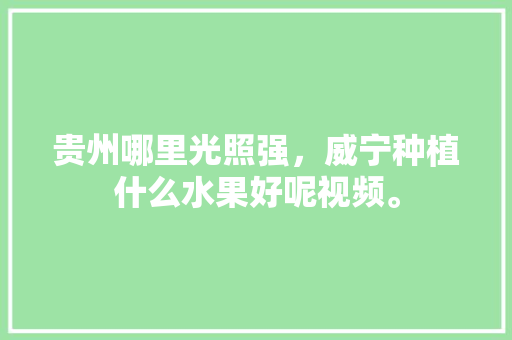 贵州哪里光照强，威宁种植什么水果好呢视频。 贵州哪里光照强，威宁种植什么水果好呢视频。 水果种植