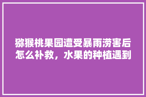 猕猴桃果园遭受暴雨涝害后怎么补救，水果的种植遇到洪水怎么办。 猕猴桃果园遭受暴雨涝害后怎么补救，水果的种植遇到洪水怎么办。 水果种植