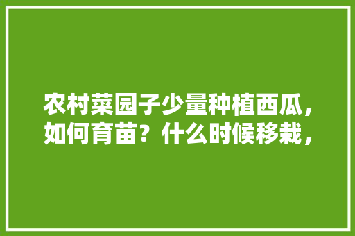 农村菜园子少量种植西瓜，如何育苗？什么时候移栽，种植水果西瓜方法视频。 农村菜园子少量种植西瓜，如何育苗？什么时候移栽，种植水果西瓜方法视频。 蔬菜种植