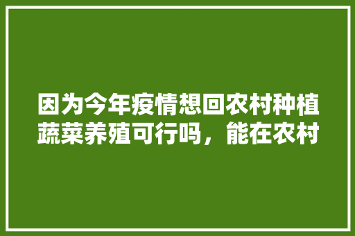 因为今年疫情想回农村种植蔬菜养殖可行吗，能在农村种植水果吗现在。 因为今年疫情想回农村种植蔬菜养殖可行吗，能在农村种植水果吗现在。 家禽养殖