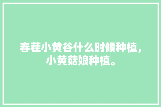 春茬小黄谷什么时候种植，小黄菇娘种植。 春茬小黄谷什么时候种植，小黄菇娘种植。 水果种植