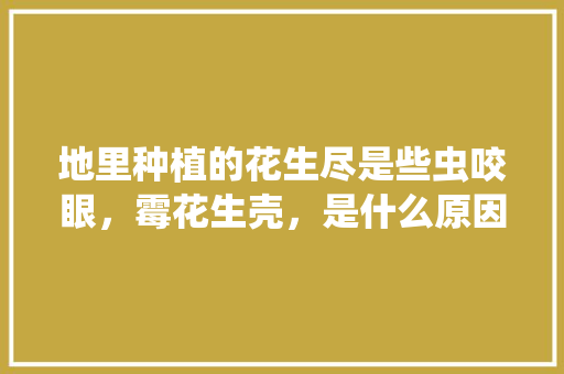 地里种植的花生尽是些虫咬眼，霉花生壳，是什么原因呀，明年种植花生如何避免这情况，老哥种植水果文案。 地里种植的花生尽是些虫咬眼，霉花生壳，是什么原因呀，明年种植花生如何避免这情况，老哥种植水果文案。 蔬菜种植