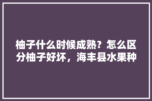 柚子什么时候成熟？怎么区分柚子好坏，海丰县水果种植面积。 柚子什么时候成熟？怎么区分柚子好坏，海丰县水果种植面积。 畜牧养殖