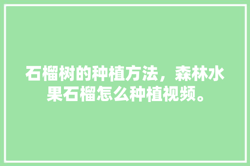 石榴树的种植方法，森林水果石榴怎么种植视频。 石榴树的种植方法，森林水果石榴怎么种植视频。 家禽养殖