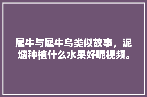 犀牛与犀牛鸟类似故事，泥塘种植什么水果好呢视频。 犀牛与犀牛鸟类似故事，泥塘种植什么水果好呢视频。 水果种植