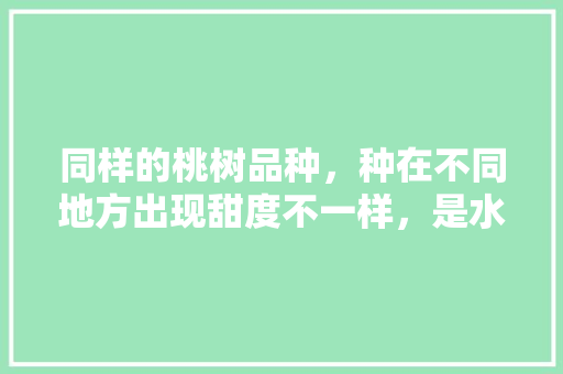 同样的桃树品种，种在不同地方出现甜度不一样，是水土气候环境原因？还是施肥等因素，西平县水果种植面积。 同样的桃树品种，种在不同地方出现甜度不一样，是水土气候环境原因？还是施肥等因素，西平县水果种植面积。 蔬菜种植