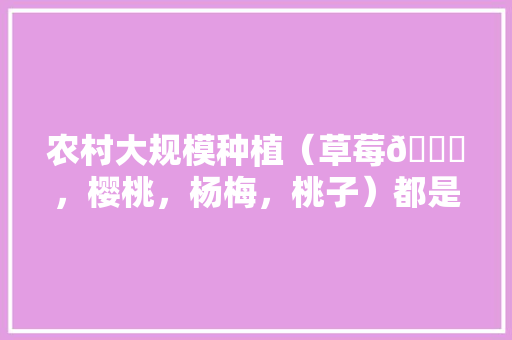 农村大规模种植（草莓🍓，樱桃，杨梅，桃子）都是应季水果，怎么做到深加工快速消费，网红水果的种植方法。 农村大规模种植（草莓🍓，樱桃，杨梅，桃子）都是应季水果，怎么做到深加工快速消费，网红水果的种植方法。 家禽养殖