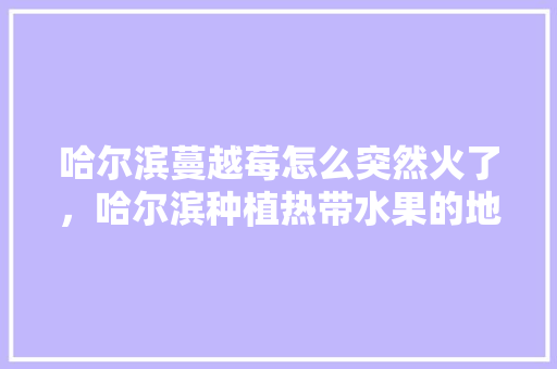 哈尔滨蔓越莓怎么突然火了，哈尔滨种植热带水果的地方。 哈尔滨蔓越莓怎么突然火了，哈尔滨种植热带水果的地方。 畜牧养殖