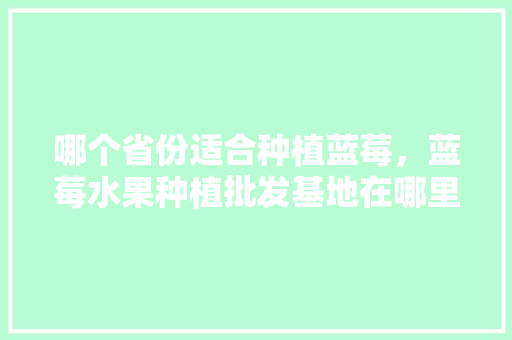 哪个省份适合种植蓝莓，蓝莓水果种植批发基地在哪里。 哪个省份适合种植蓝莓，蓝莓水果种植批发基地在哪里。 土壤施肥