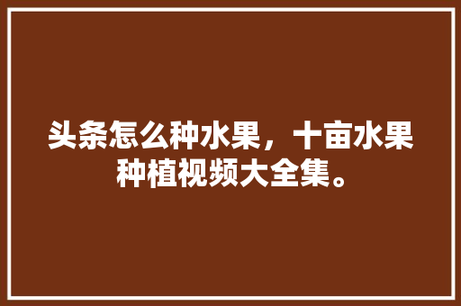 头条怎么种水果，十亩水果种植视频大全集。 头条怎么种水果，十亩水果种植视频大全集。 土壤施肥