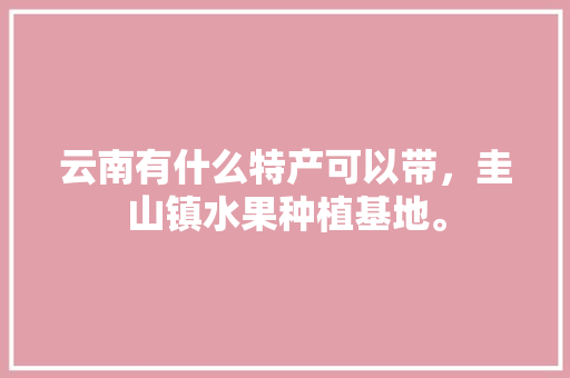 云南有什么特产可以带，圭山镇水果种植基地。 云南有什么特产可以带，圭山镇水果种植基地。 畜牧养殖